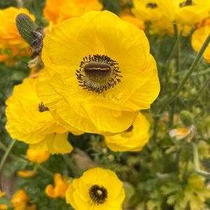 Meet your Posher, Swati